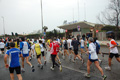 roma-ostia-coccia-695
