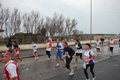 roma-ostia-coccia-805
