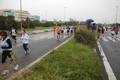 roma-ostia-coccia-809