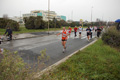 roma-ostia-coccia-812