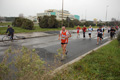 roma-ostia-coccia-813