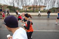 roma-ostia-coccia-824