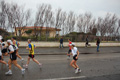 roma-ostia-coccia-914