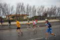 roma-ostia-coccia-943