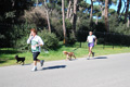 fregene_7951