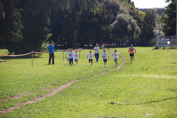 Trofeo Podistica Solidarietà (11/10/2009) trofeopodistica09-681
