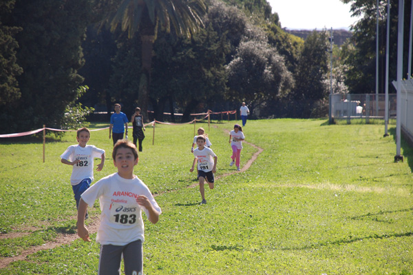 Trofeo Podistica Solidarietà (11/10/2009) trofeopodistica09-696