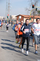collatino_5016