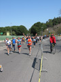 vicari_0219