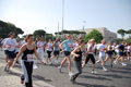 race_7964