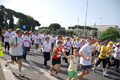 race_8066