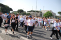 race_8069