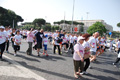 race_8084