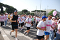 race_8088