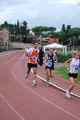 novembrino_1550