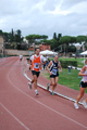 novembrino_1551