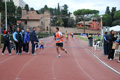 novembrino_1690