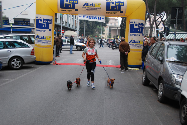Trofeo Podistico Walter Tobagi (22/11/2009) tobagi-09_6954