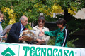 tagliacozzo09_6373