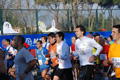 miguel_poggiali_0035