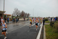 roma-ostia-coccia-216