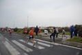 roma-ostia-coccia-242