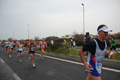 roma-ostia-coccia-265