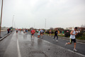 roma-ostia-coccia-397