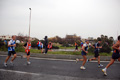 roma-ostia-coccia-403