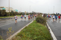 roma-ostia-coccia-502