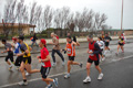 roma-ostia-coccia-514