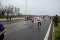 roma-ostia-coccia-524