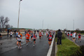 roma-ostia-coccia-529