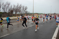 roma-ostia-coccia-546