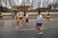 roma-ostia-coccia-550