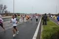 roma-ostia-coccia-551