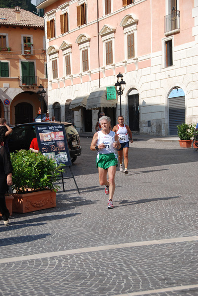  () tagliacozzo09_5600