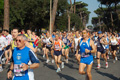 appiarun_pino_0044