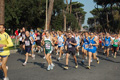 appiarun_pino_0054