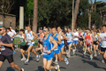 appiarun_pino_0056