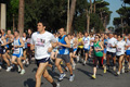 appiarun_pino_0057