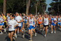 appiarun_pino_0059