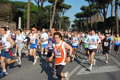 appiarun_pino_0076