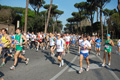 appiarun_pino_0093