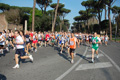 appiarun_pino_0099