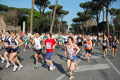 appiarun_pino_0111