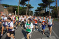 appiarun_pino_0142