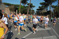 appiarun_pino_0146