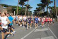 appiarun_pino_0157