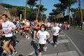 appiarun_pino_0195